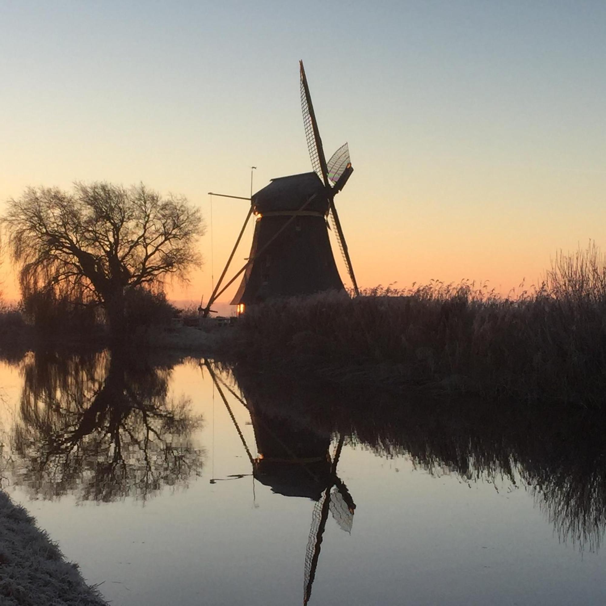De Vink Bed&Breakfast Abcoude Eksteriør bilde